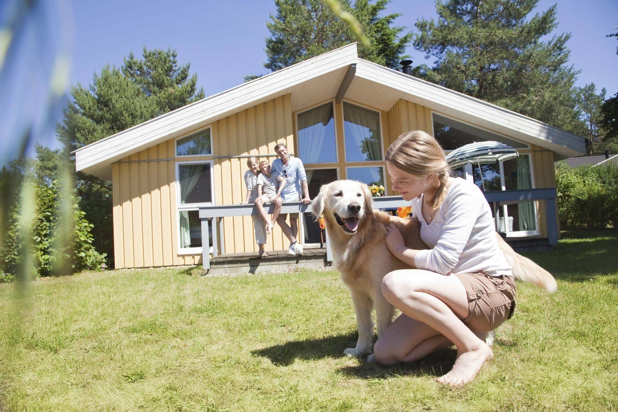 Ferienpark Mirow Exteriér fotografie